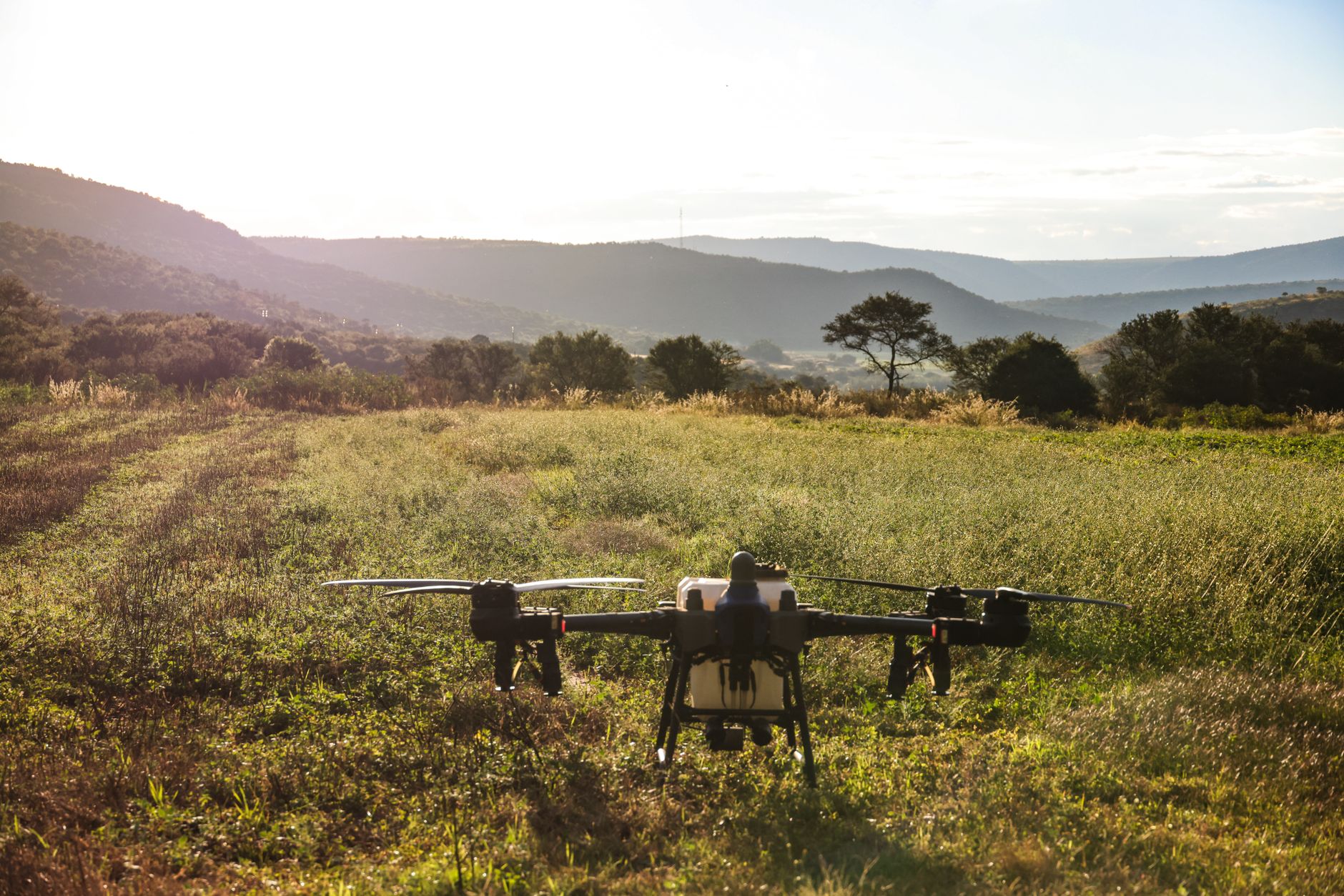Wildlife Monitoring