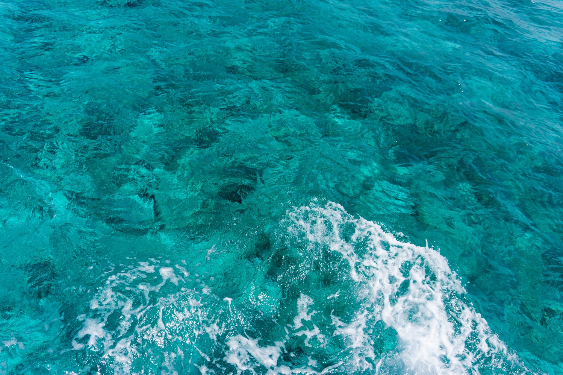 Ocean Data