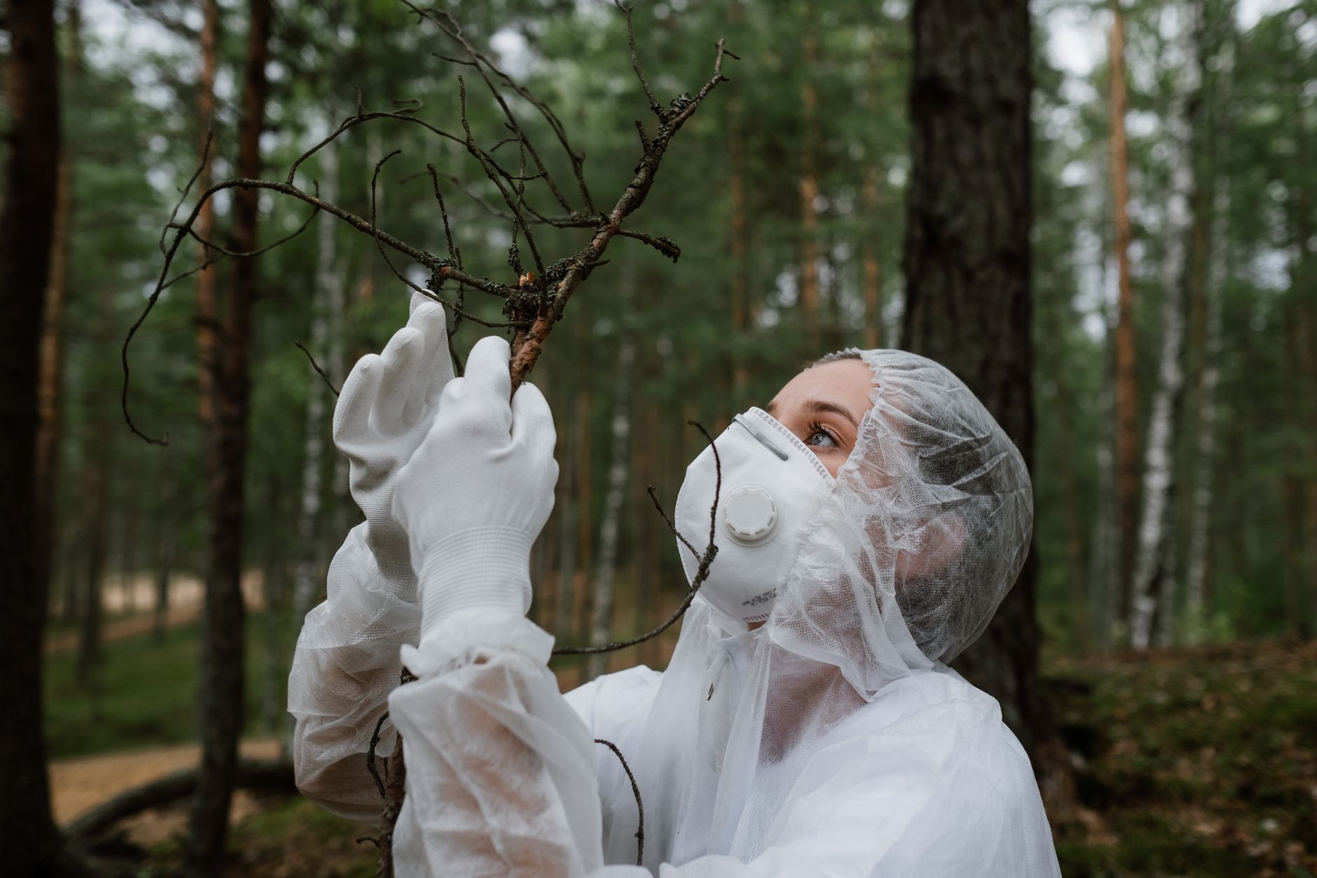 Ecologist in the field